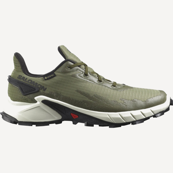 Кроссовки ALPHACROSS 4 GTX (RU 43.5 UK 10 USm 10.5 СМ 28; deep lichen green)